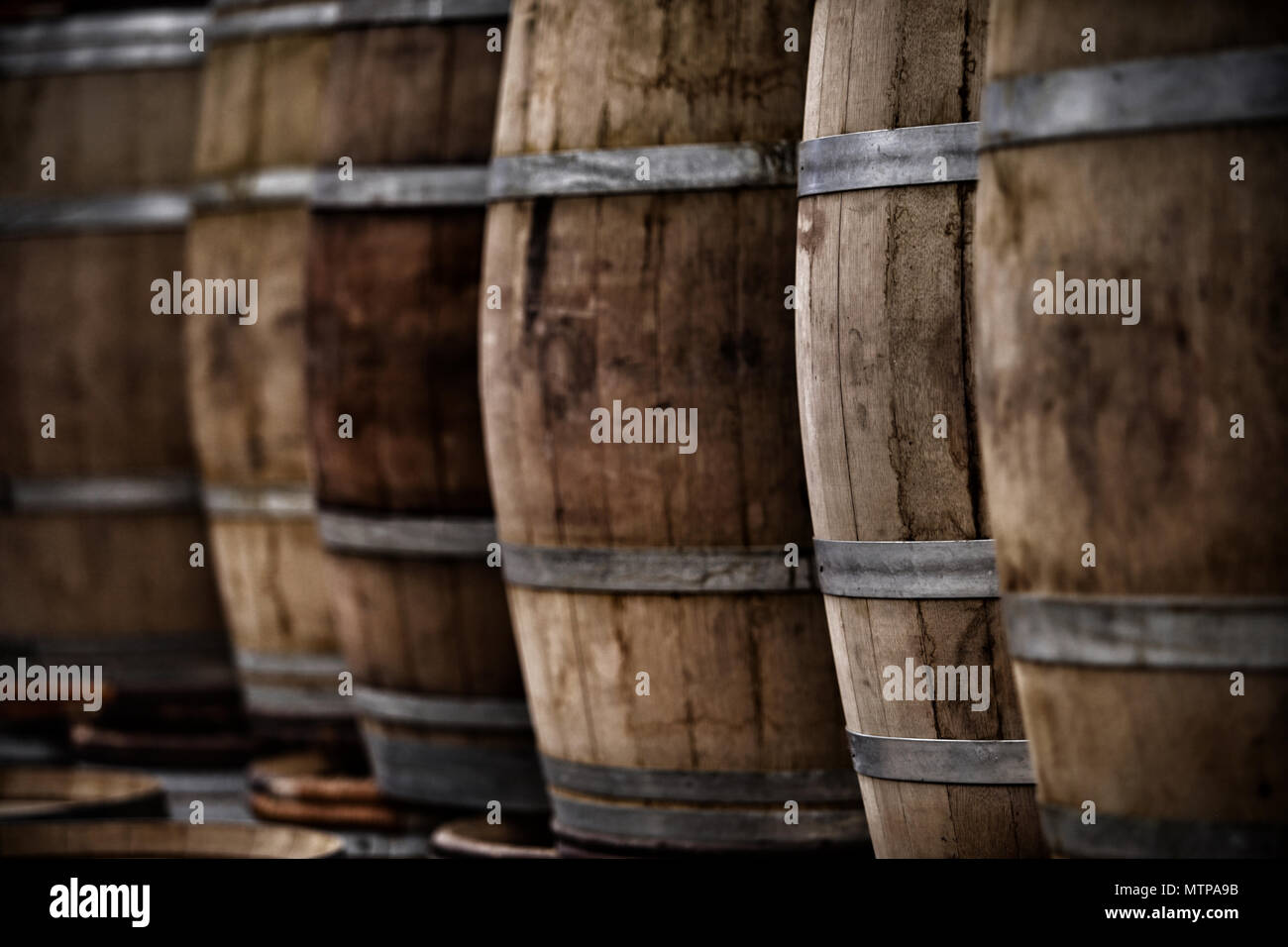 Cave de fûts de bois pour les vins, spiritueux, bière, vin de table, rouge, blanc, mousseux. Banque D'Images