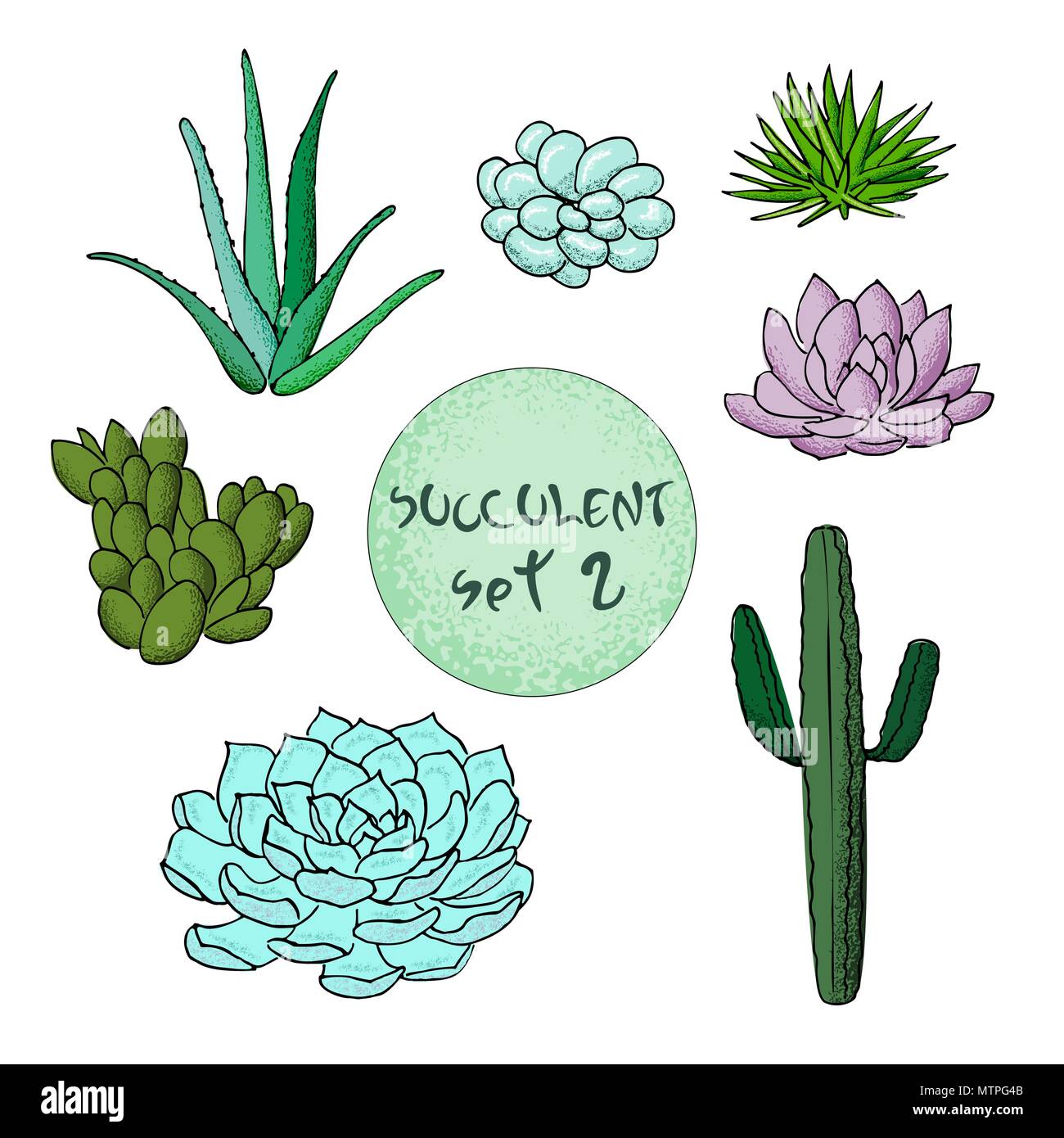 Cactus succulentes collection. L'agave, Carnegiea, aloe, gastraea, haworthia, Saguaro, Echinopsis, San Pedro, Cereus Illustration de Vecteur