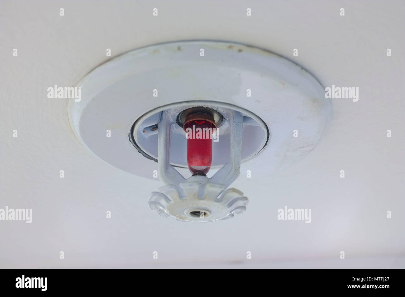 Fire Sprinkler monté sous un plafond blanc. Banque D'Images