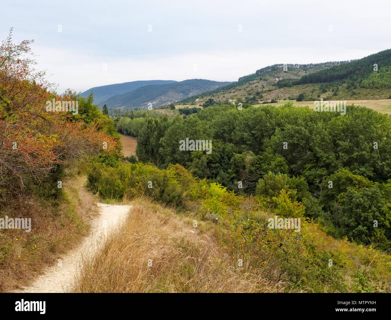 Piste de marche sur le Chemin de Saint Jacques entre Larrasoana et Trinité de Arre - Navarre, Espagne Banque D'Images