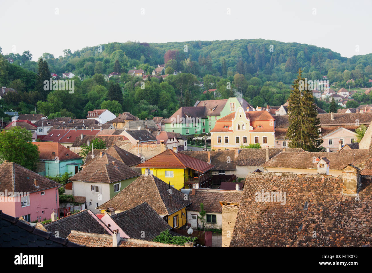 Vue panoramique de Sigishoara citty médiévale Transilvania Roumanie Banque D'Images