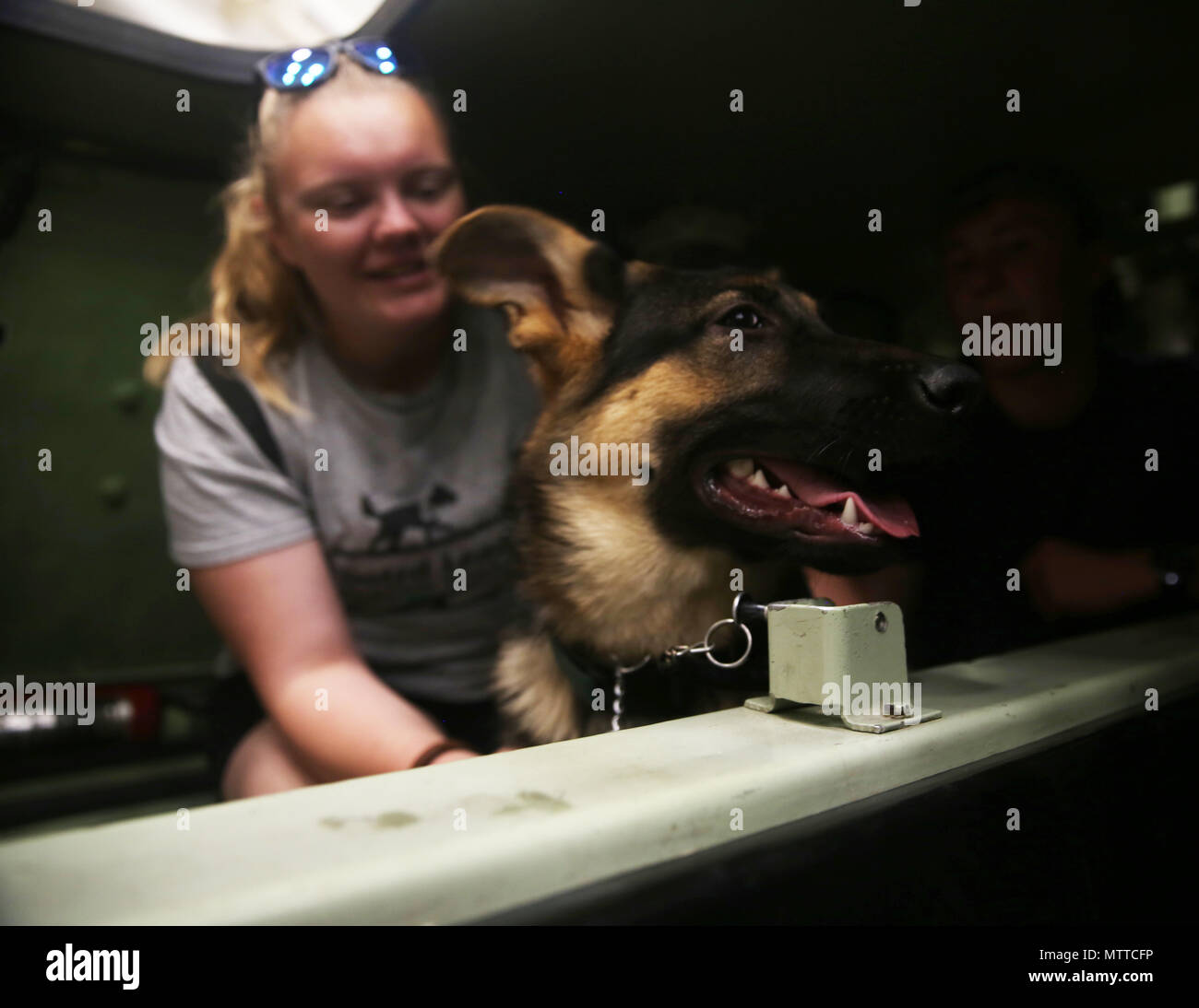 Les chiens de service dans la formation avec des programme de chiot a pris un tour avec leurs formateurs à bord du USS Arlington (LPD 24) au cours de la Fleet Week New York, mai 24, 2018. La Fleet Week NYC est une occasion pour le public américain pour répondre à leurs Corps des Marines, les équipes de la Marine et de la Garde côtière et de l'expérience de la mer de l'Amérique. (U.S. Marine Corps photo par Lance Cpl. Heather Atherton) Banque D'Images