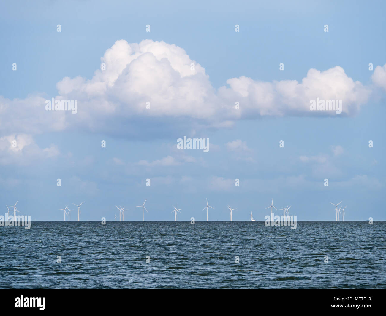 Panorama du lac IJsselmeer horizon avec des éoliennes ou des générateurs de vent ferme près de Urk, Pays-Bas Banque D'Images