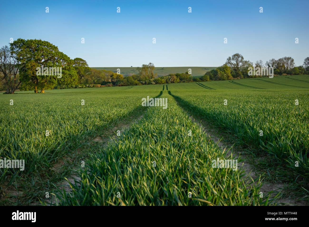 Paysage rural scène dans West Sussex près de Littlehampton au crépuscule Banque D'Images