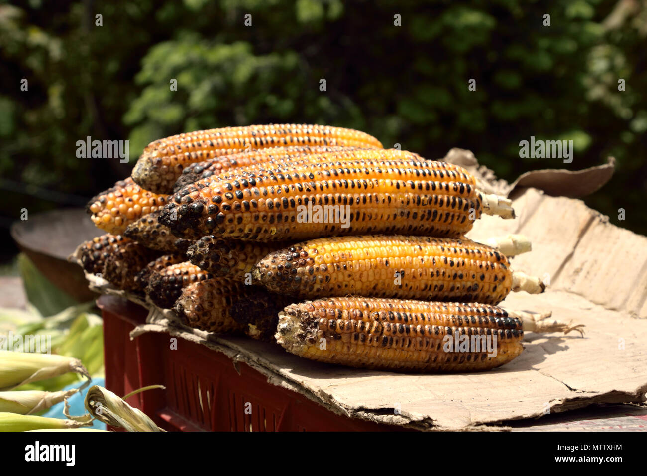 Alimentaire Banque D'Images