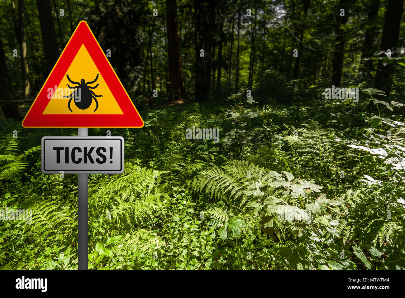 Un panneau d'avertissement 'Ticks' dans les bois sous-bois Banque D'Images