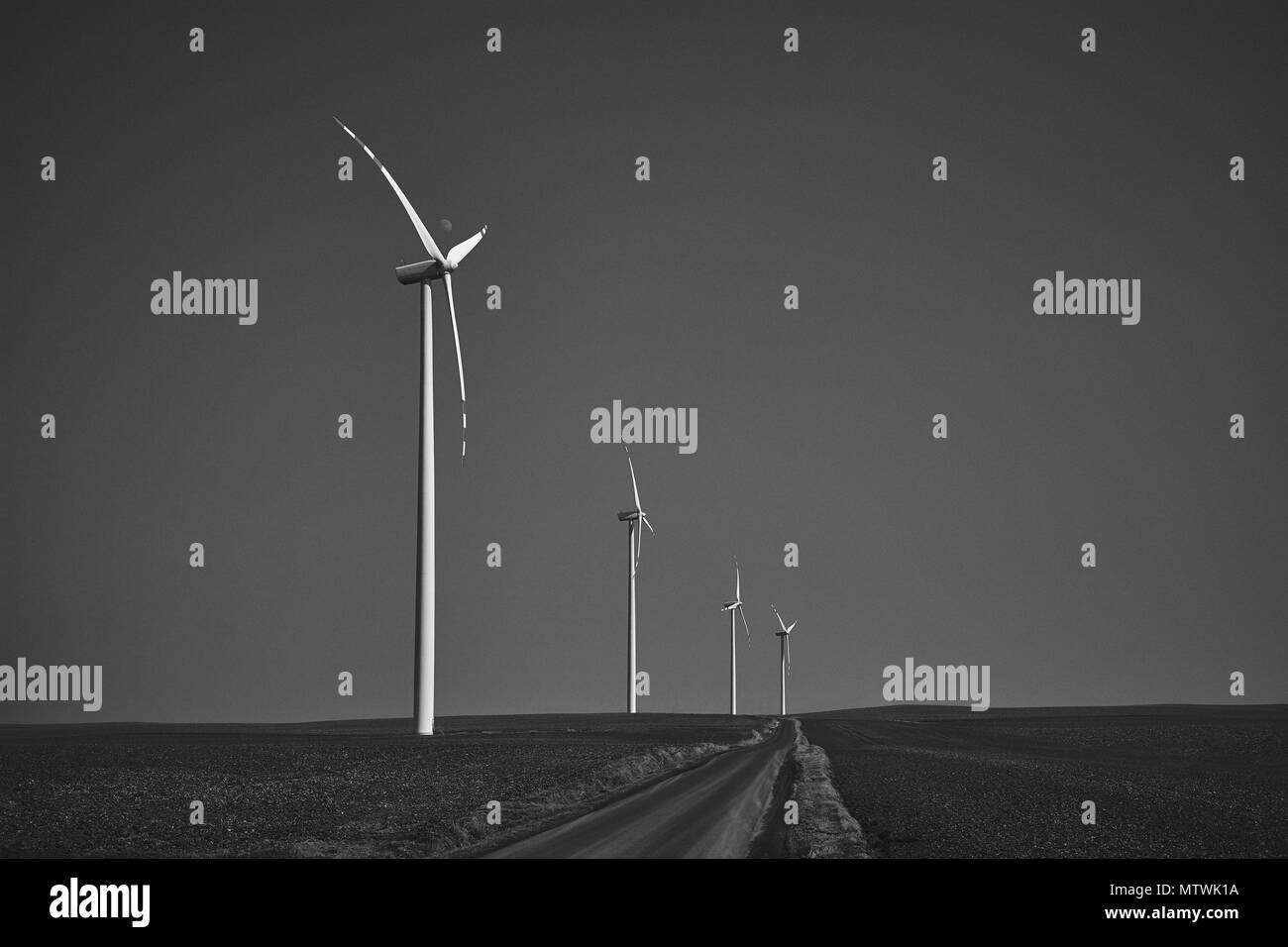 Le noir et blanc paysage avec éoliennes debout sur un champ vide isolée avec une route au milieu, moulin à vent pour la production d'énergie électrique Banque D'Images