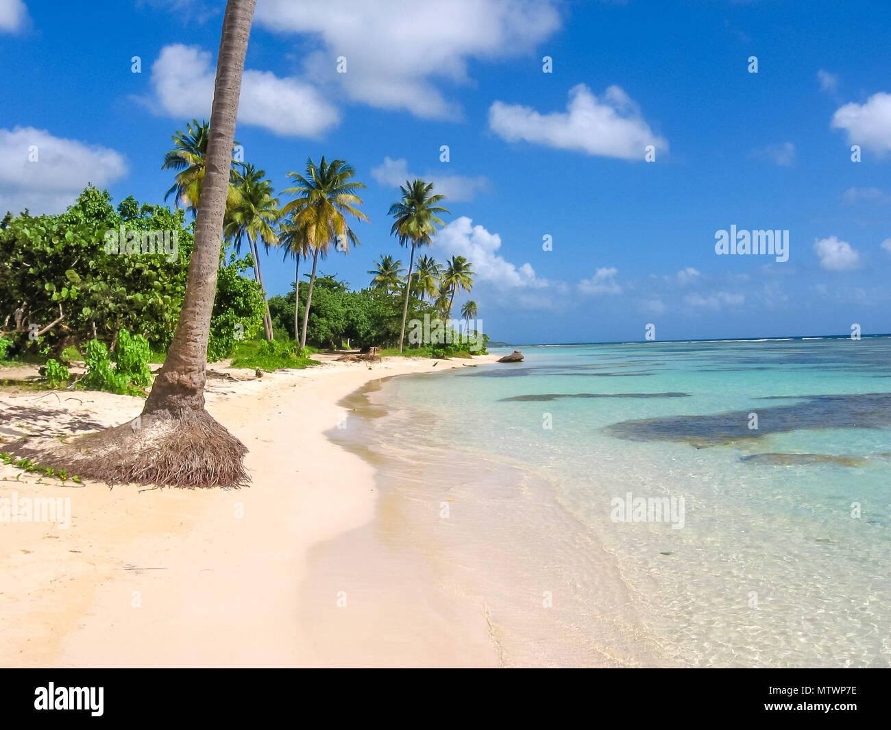 Le Cocotier Mer Turquoise Et Plage De Sable Blanc De Sainte