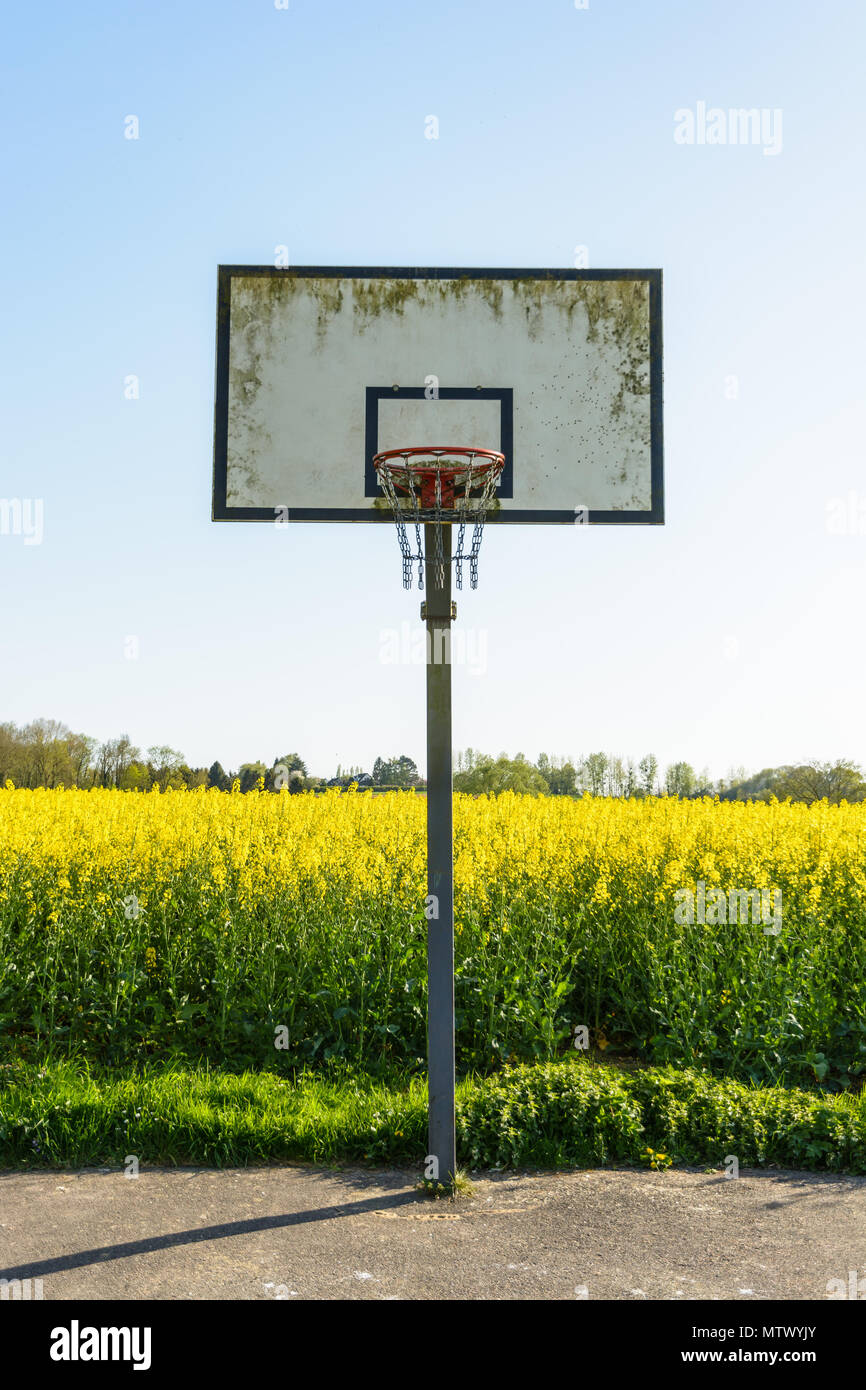 Un village de basket-ball avec un panneau unique juste à côté d'un champ de colza en fleurs dans la campagne française au coucher du soleil. Banque D'Images