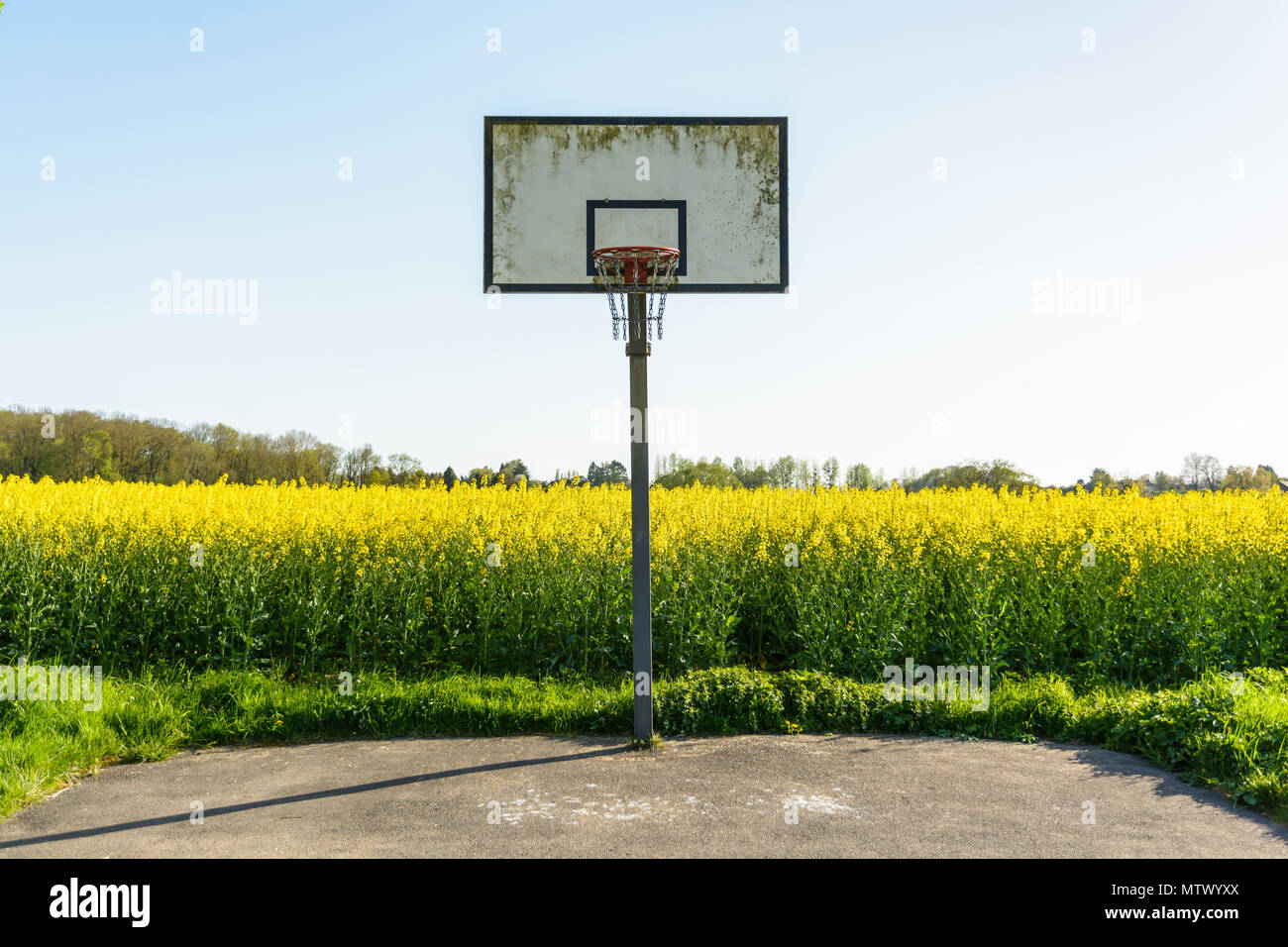 Un village de basket-ball avec un panneau unique juste à côté d'un champ de colza en fleurs dans la campagne française au coucher du soleil. Banque D'Images