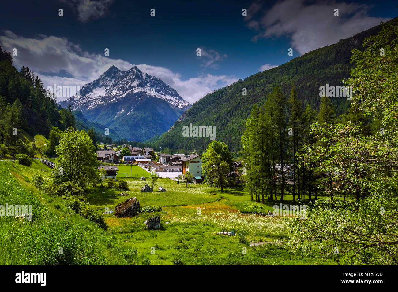 Les prairies alpines avec fleurs et montagnes à Evolene, Val d'Herens, Suisse Banque D'Images