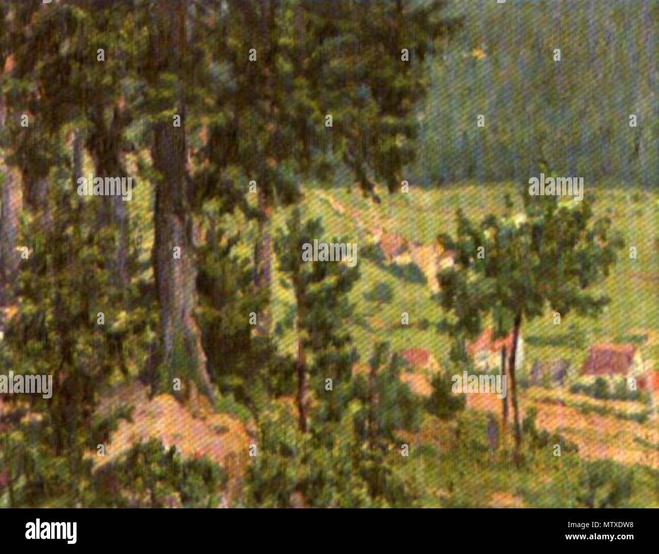 . Anglais : Künstler Martin Brandenburg Titel Paysage médium huile sur toile Größe 20,5 x 26,8 in. / 52 x 68 cm . avant 1917. Brandebourg 473 Martin Paysage MartinBrandenburg Banque D'Images