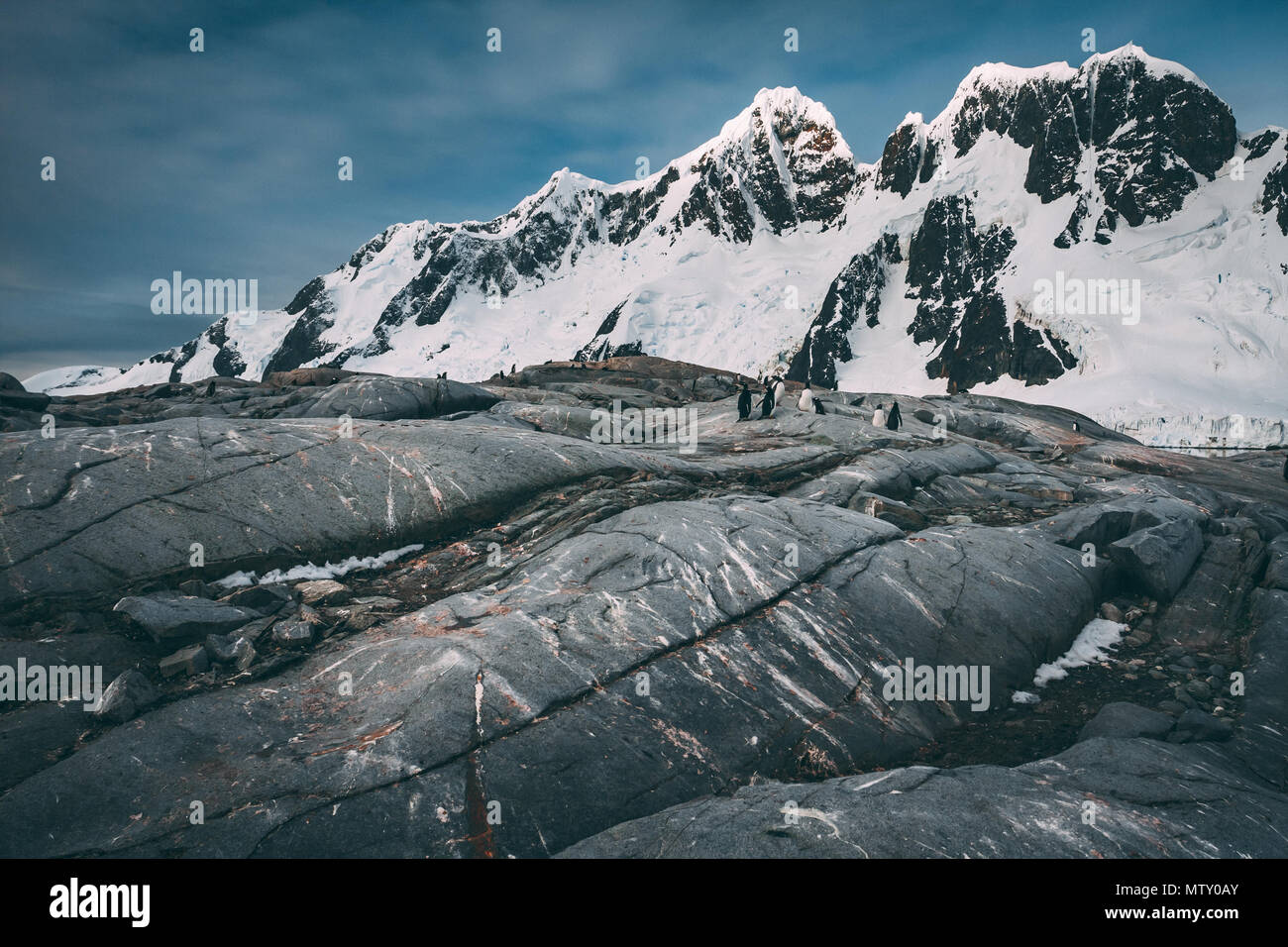 Cool ancienne coulée de lave sur les puissantes montagnes Antarctique couverte de neige fond. La beauté à couper le souffle de la nature sauvage intacte. Le froid éternel. Banque D'Images