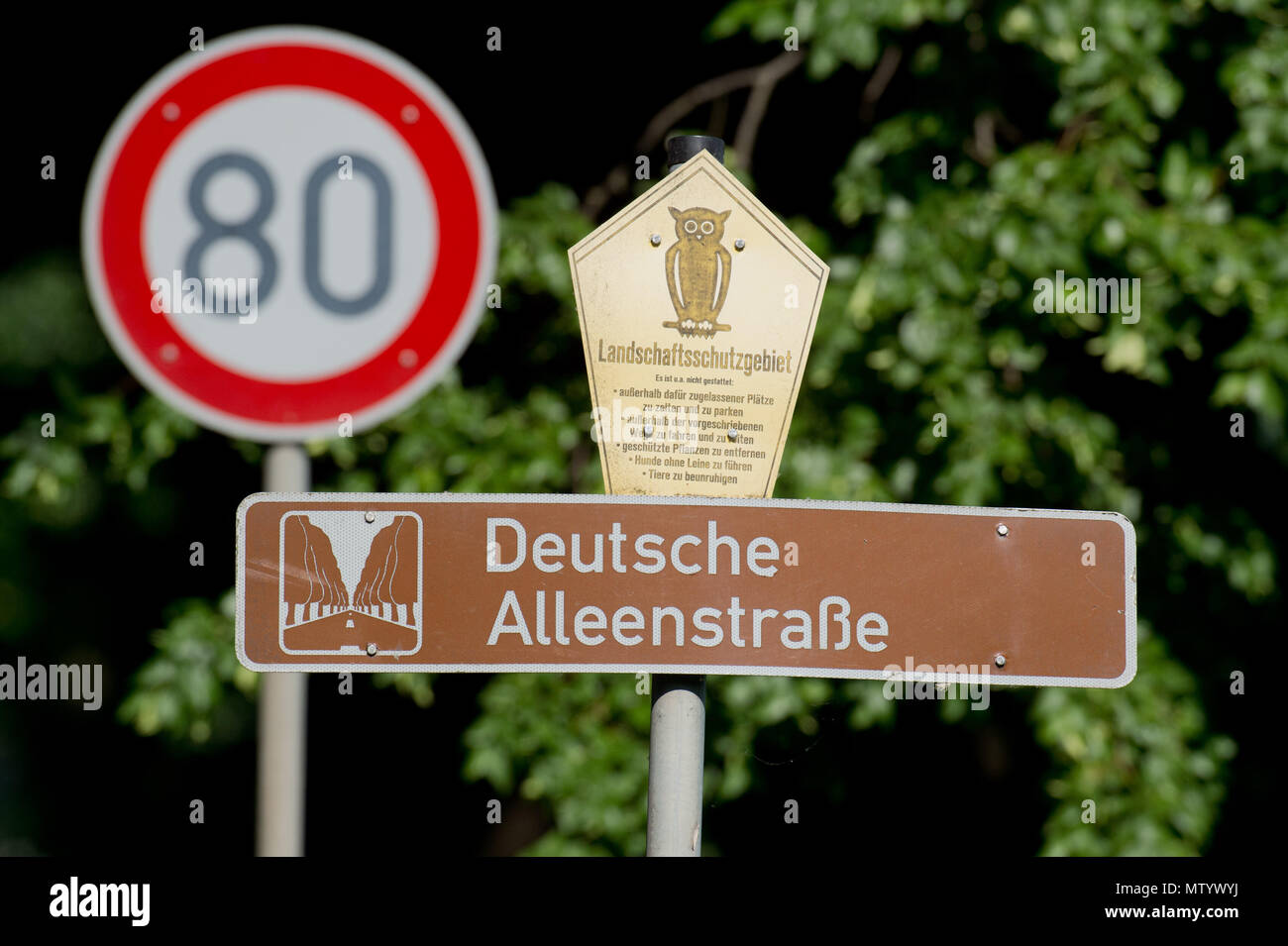 30 mai 2018, l'Allemagne, Garz : un signe indique le "Deutsche Alleenstrasse' (Allemand Avenue Road) sur l'avenue entre Garz et Putbus. Le tronçon fait partie de la Deutsche Alleenstrasse' qui commence sur l'île de Rügen. Photo : Stefan Sauer/dpa Banque D'Images