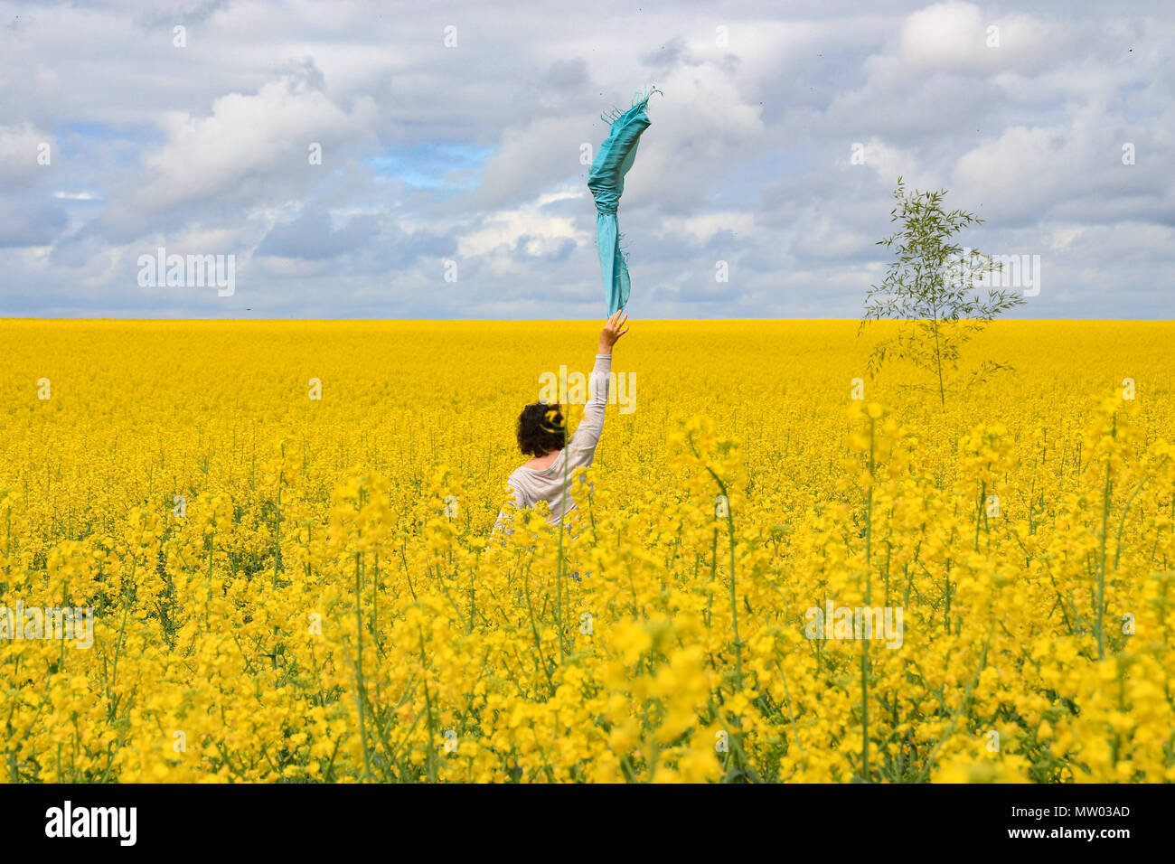 Femme debout dans un champ de colza en agitant un foulard dans l'air, Niort, Nouvelle-Aquitaine, France Banque D'Images