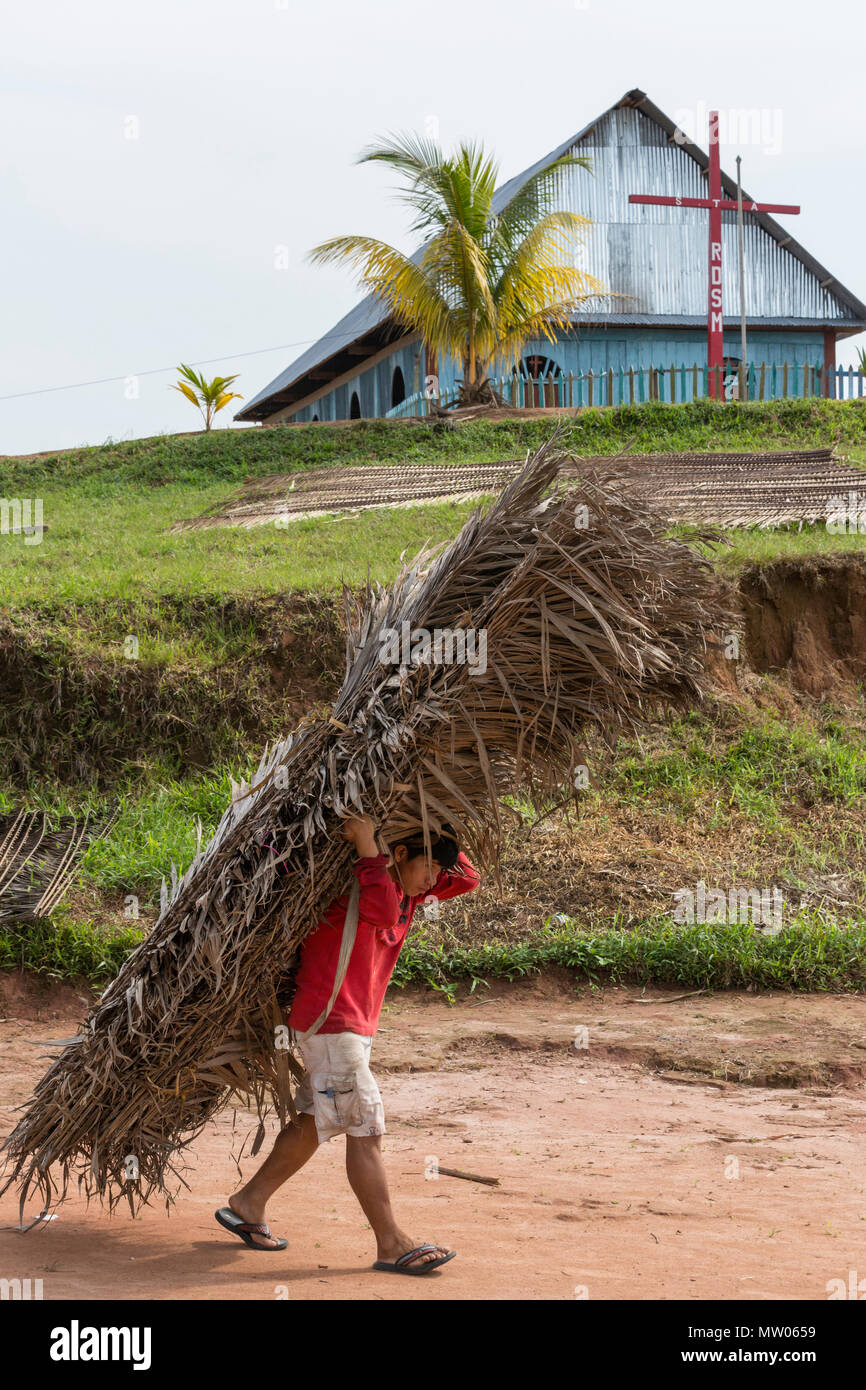 Homme transportant des feuilles de palmier dans le village de San Francisco, le haut bassin du fleuve Amazone, Loreto, Pérou Banque D'Images