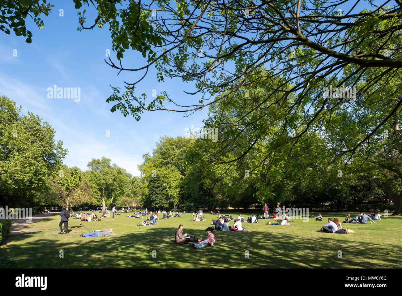 Une zone d'herbe animée remplie de gens pique-niant et bronzer pendant une journée d'été ensoleillée dans le champ de Lincoln's Inn dans le centre de Londres. Banque D'Images