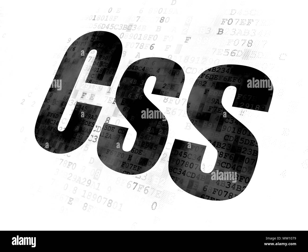 Concept de programmation : texte noir pixélisé sur CSS de base numérique Banque D'Images