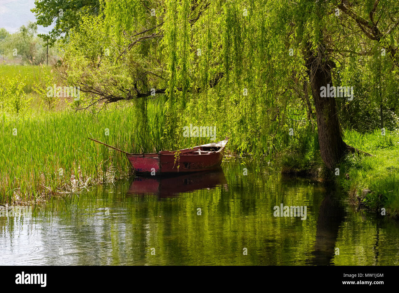 Vieux bateau dans le lac sur la rive, Drilon Parc National près de Pogradec, région, l'Albanie Korca Banque D'Images