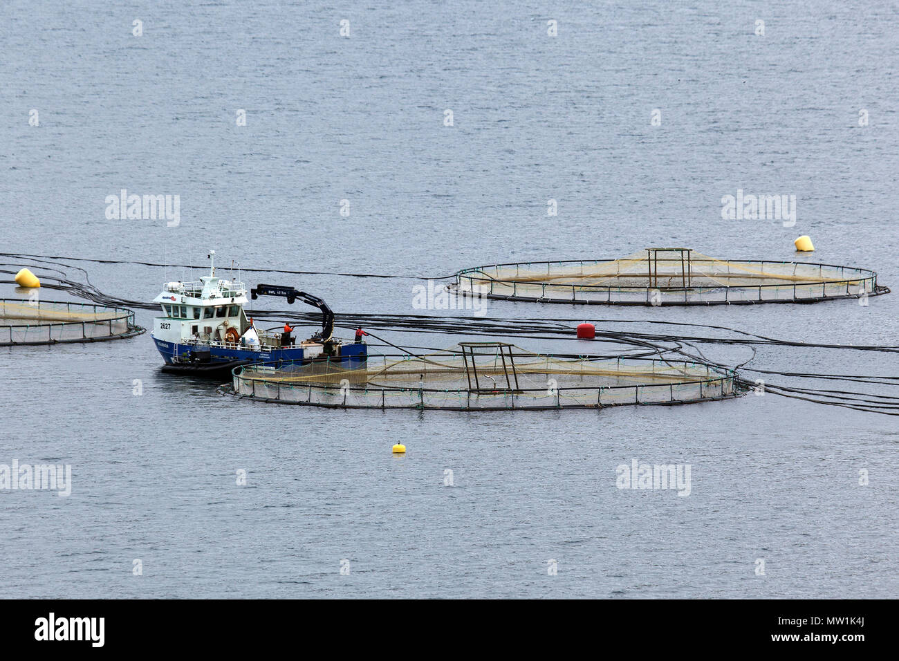 L'aquaculture, l'Est de l'Islande, Islande Banque D'Images