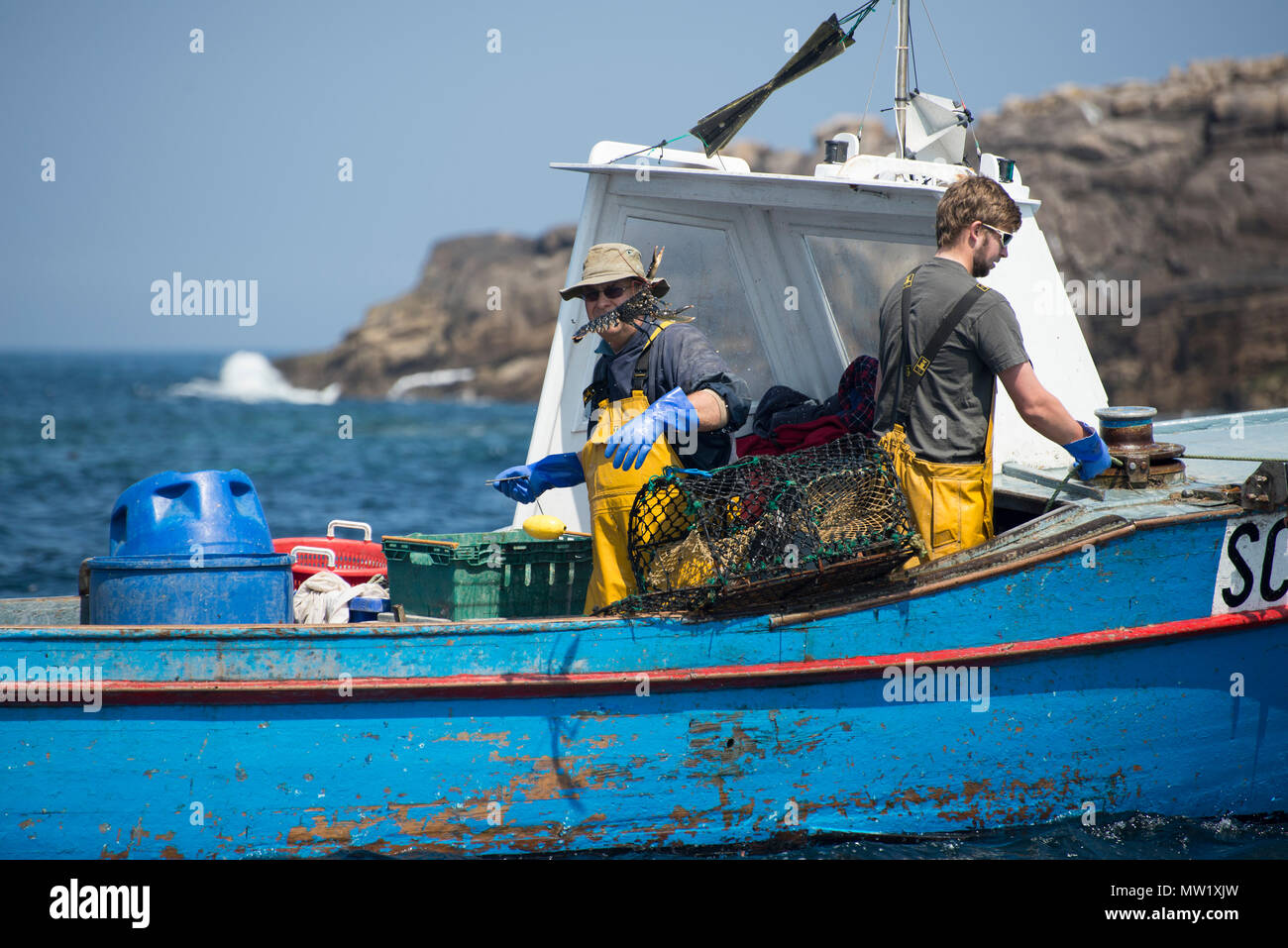 Les pêcheurs des îles Scilly jettent de petits homards dans la mer Banque D'Images