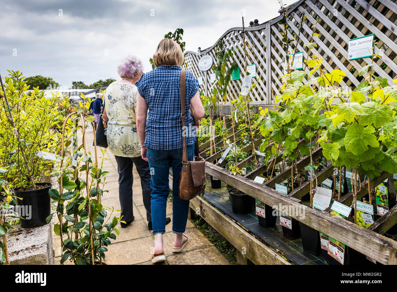 Les clients qui achètent les plantes dans un centre de jardinage au Royaume-Uni. Banque D'Images