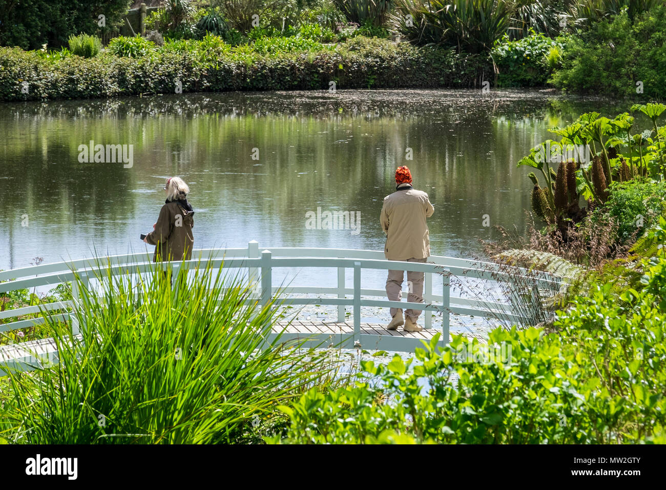 Les visiteurs l'article sur la passerelle surplombant l'étang de jardin Trebah Mallard à Cornwall. Banque D'Images