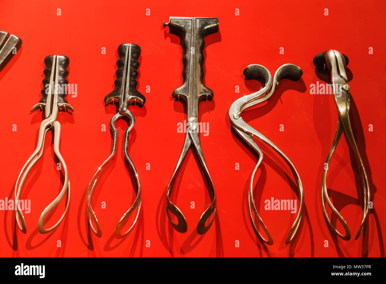 L'Angleterre, Londres, The Wellcome Collection, Affichage des forceps Vintage Obsetrical Banque D'Images