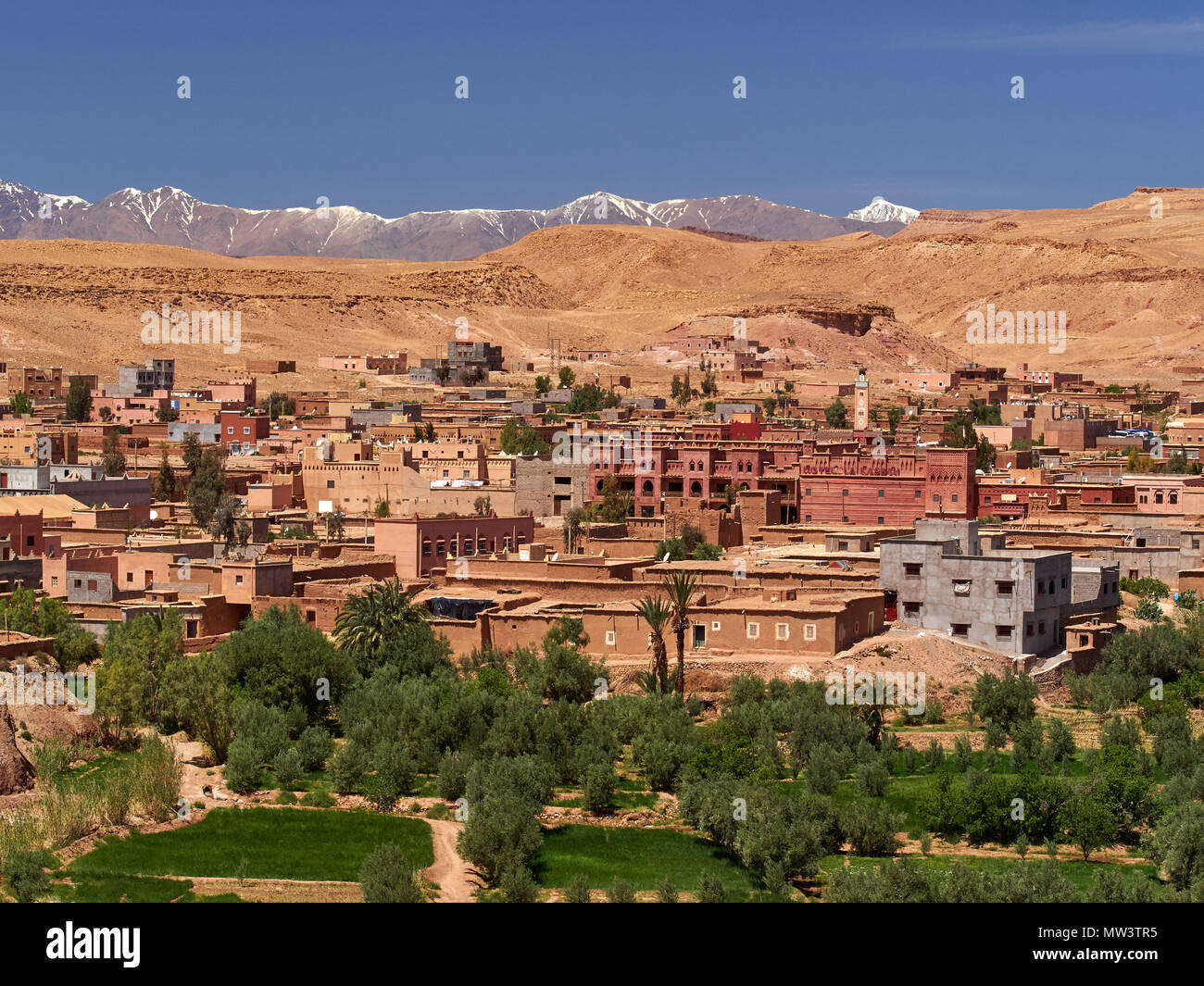 Nouveau microdistricts de l'ancienne ville de Tingir dans une gorge de montagne, à l'avant-plan des champs verts, l'Est du Maroc. Banque D'Images