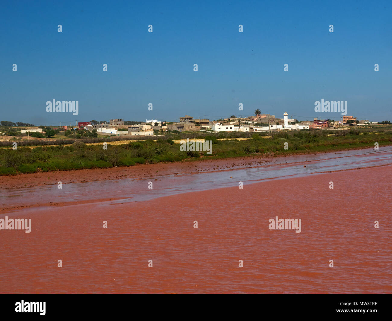 Maisons de village blanc et haute mosquée sur le bord d'une rivière Rouge, Ouarzazate, Maroc district. Banque D'Images