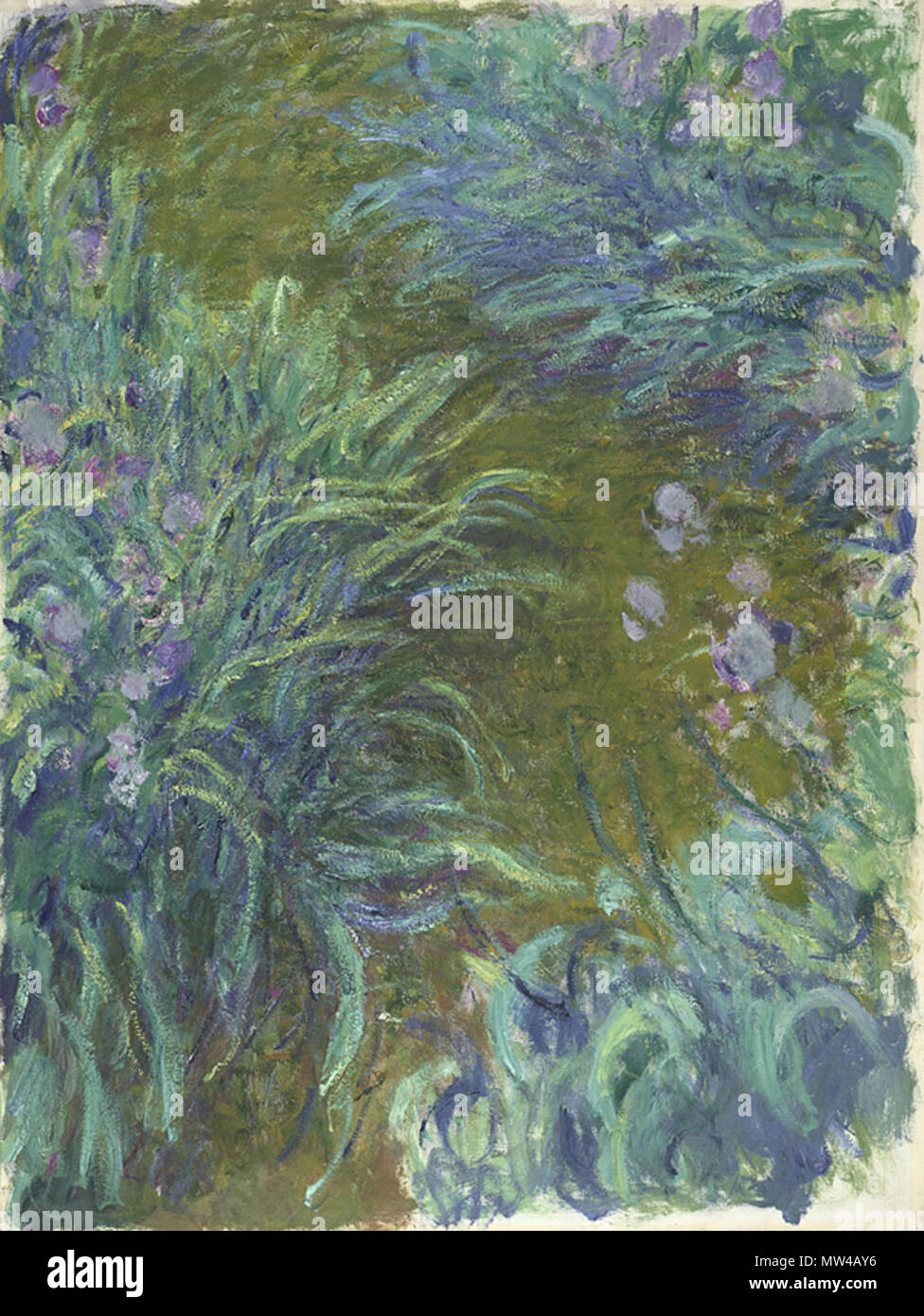 . Iris . Anglais : C. Monet, Iris, 1914-1917, Londres, National Gallery . circa 1914-17 132 Claude Monet, des iris Banque D'Images