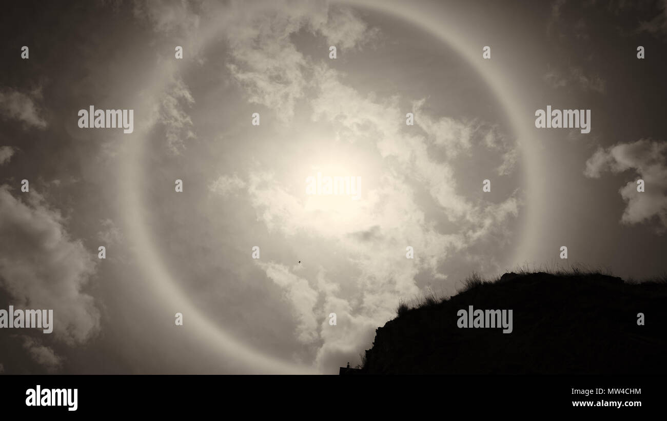 Halo solaire et les branches d'arbre avec un ciel clair Banque D'Images