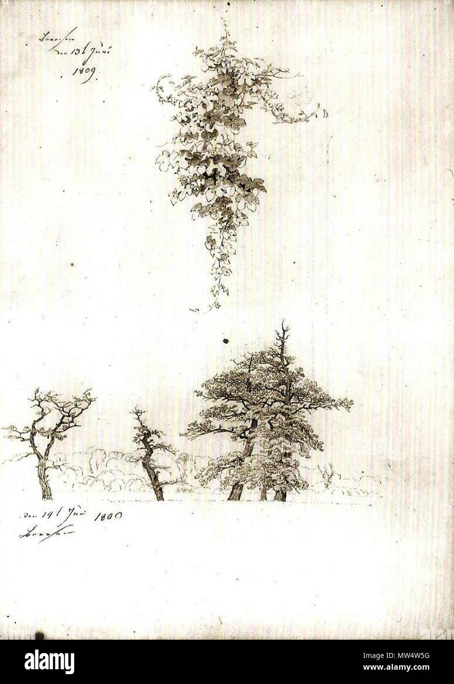 . Deutsch : Studie von Weinlaub und Buchen, 13./14. Juni 1809, Bleistift, 36,1 x 25,8 cm . 8 décembre 2014, 18:36:00. Caspar David Friedrich (1774-1840) Noms alternatifs : allemand Caspar David Friedrich Description peintre, dessinateur et aquafortiste Date de naissance/décès 5 Septembre 1774 7 mai 1840 Lieu de naissance/décès Greifswald Dresde Romantisme période de travail lieu de travail Berlin, Greifswald, Rügen, Dresden (1798) contrôle d'autorité : Q104884 : 12145857793223021180 VIAF ISNI : 0000 0001 0855 1681 ULAN : 500116242 RCAC : n79059754 NLA : 35104582 578 WorldCat Studie von Weinlaub onu Banque D'Images