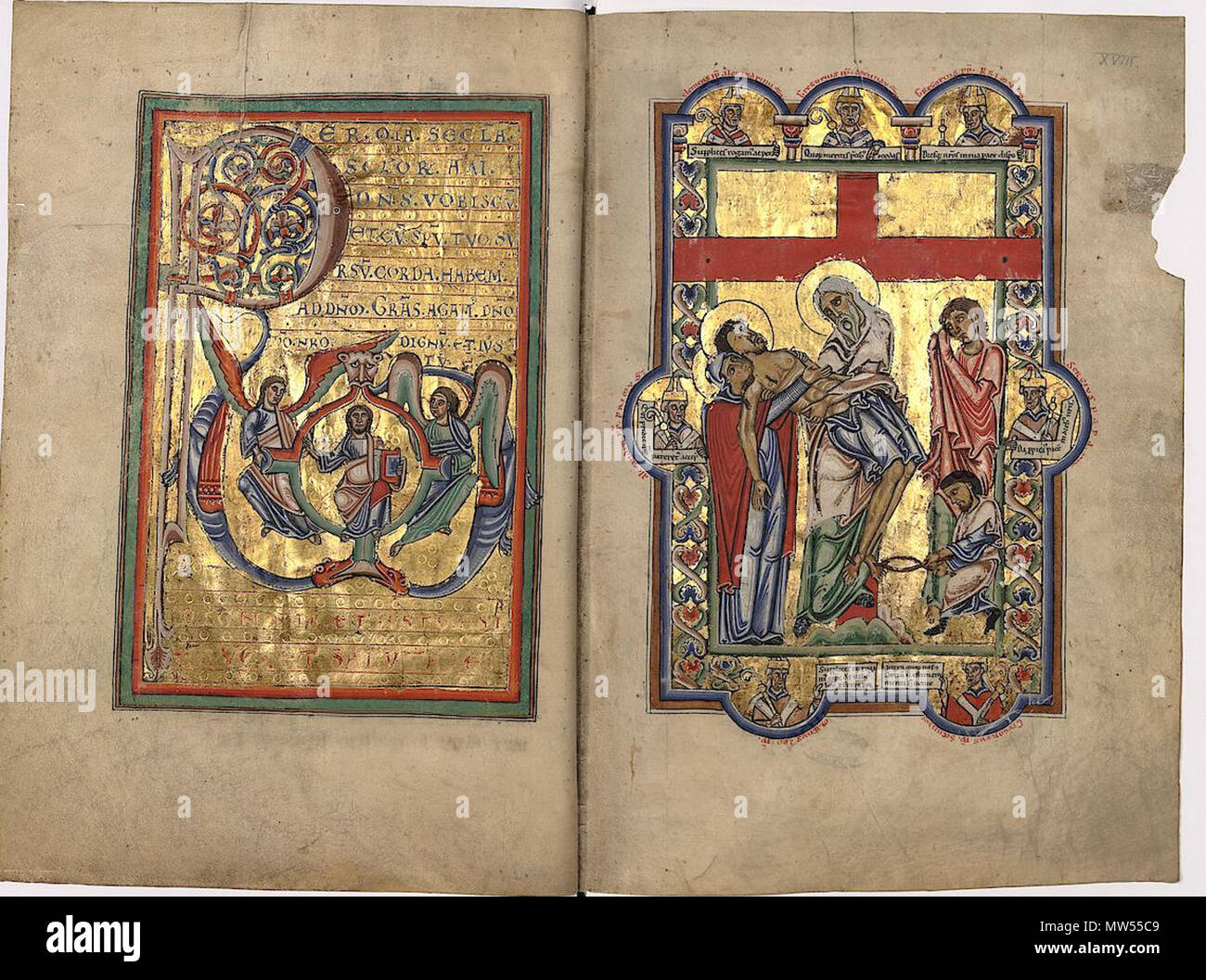 . Deutsch : Ross. 181 BAV aus St. Peter Erfurt MDF . 8 mars 2015. 529 Inconnu 181 Ross bav sans filigrane Banque D'Images