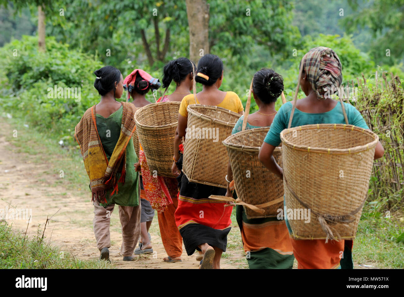 Rangamati, Bangladesh, - 17 octobre 2011 : la vie quotidienne des gens de la tribu dans la région éloignée à Sajek Vallée de Rangamati, au Bangladesh. Banque D'Images