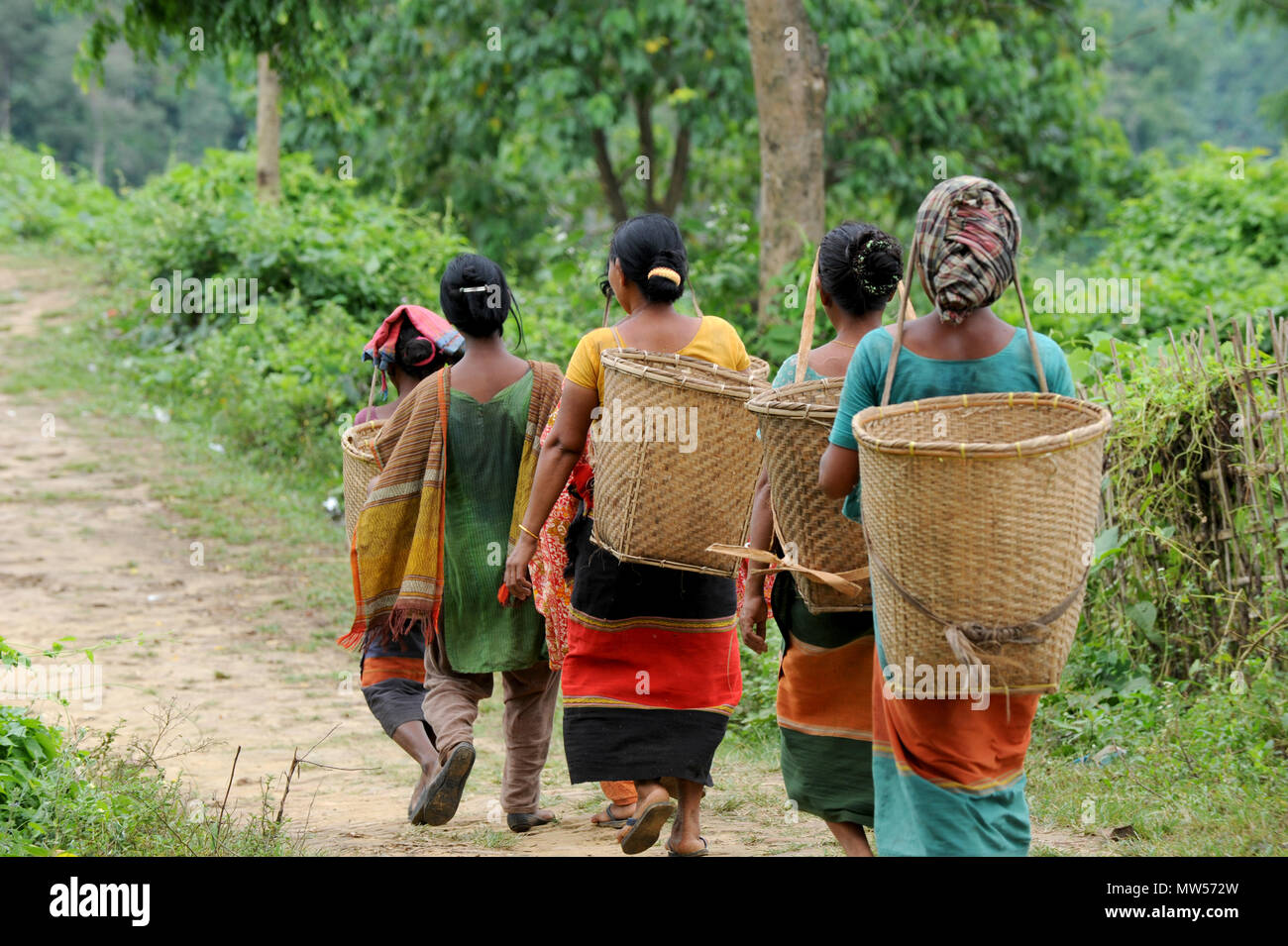 Rangamati, Bangladesh, - 17 octobre 2011 : la vie quotidienne des gens de la tribu dans la région éloignée à Sajek Vallée de Rangamati, au Bangladesh. Banque D'Images