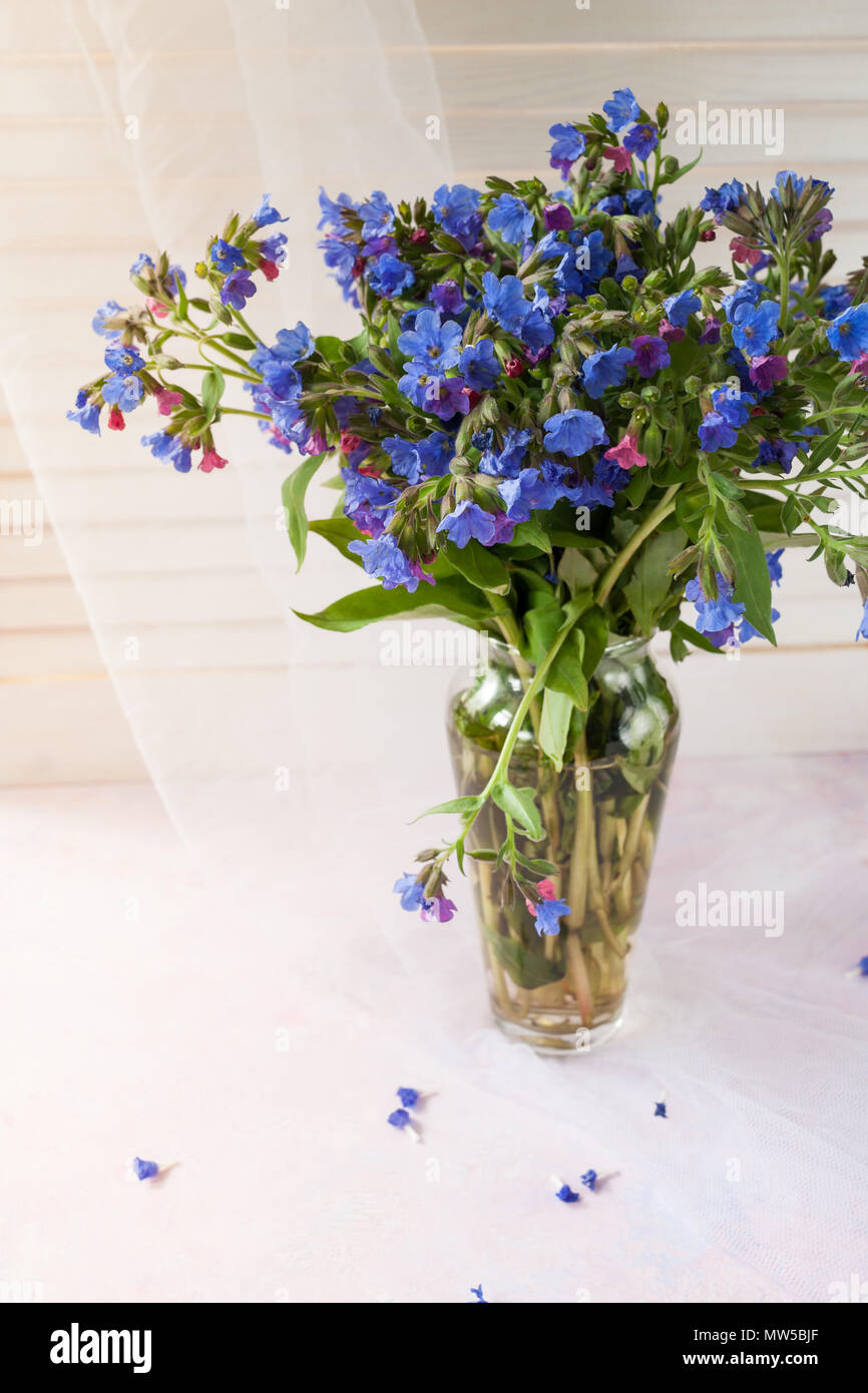 Bouquet de forêt sauvage, herbe de vase en verre sur fond clair. Banque D'Images
