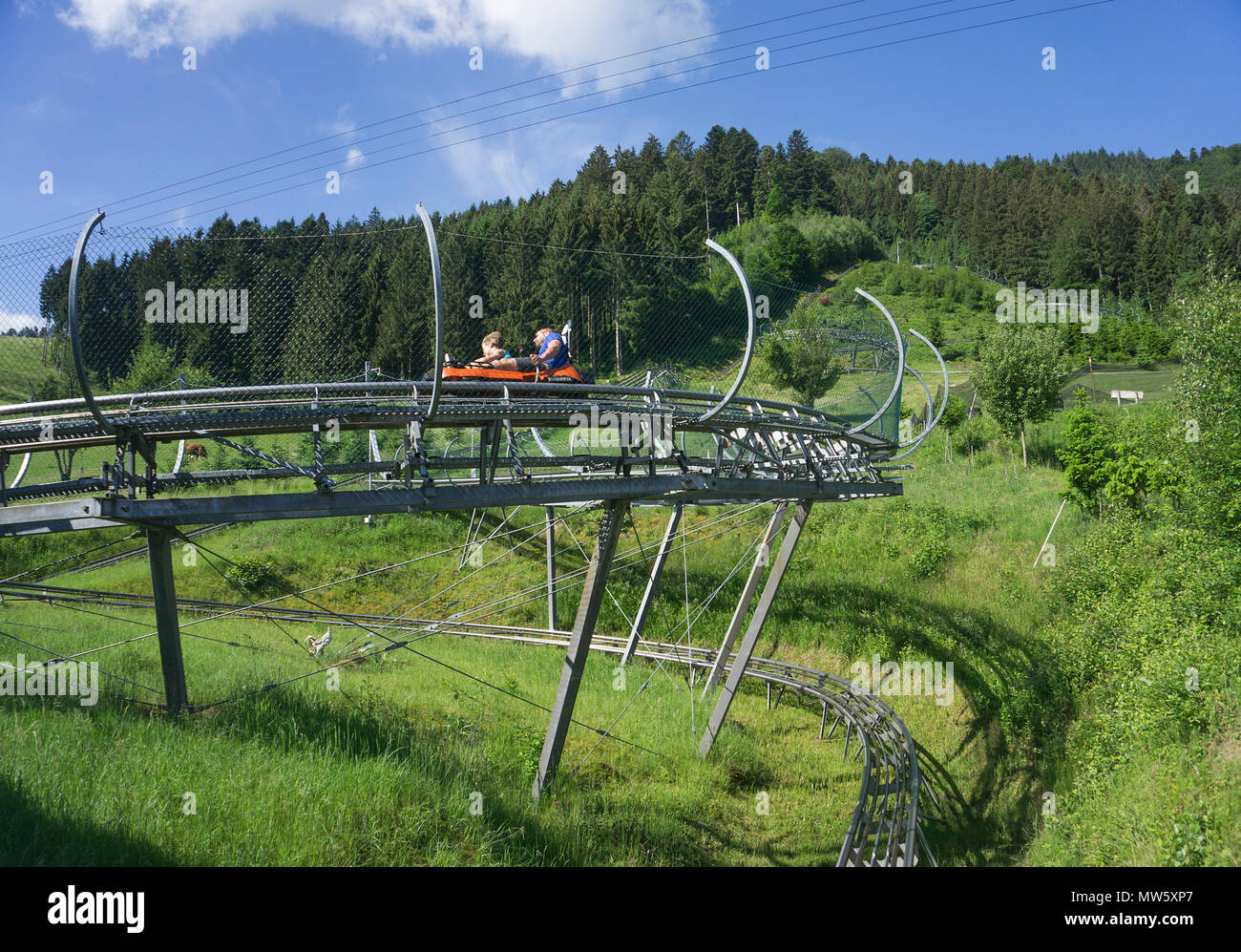 La piste à Gutach, Schwarzwald, Baden-Württemberg, Deutschland, Europa | luge sec au village Gutach, Forêt Noire, Baden-Wuerttem Banque D'Images