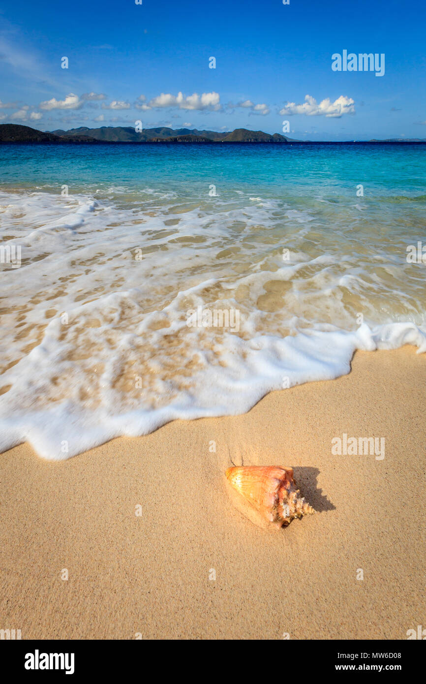 Conques sur une belle plage sur une petite île de BVI Banque D'Images