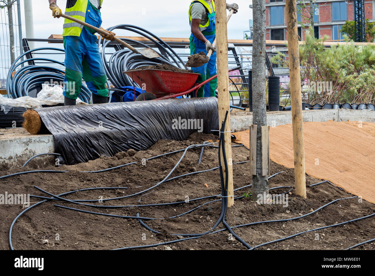 Workcrews terminer l'irrigation goutte-à-goutte pour les plantes, projet d'aménagement paysager, de créer un lieu de promenade et de détente. Banque D'Images