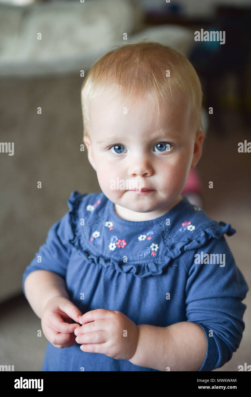 Belle jeune fille au tout-petit de 18 mois avec de courts cheveux blonds - modèle publié photographie prise par Simon Dack Banque D'Images