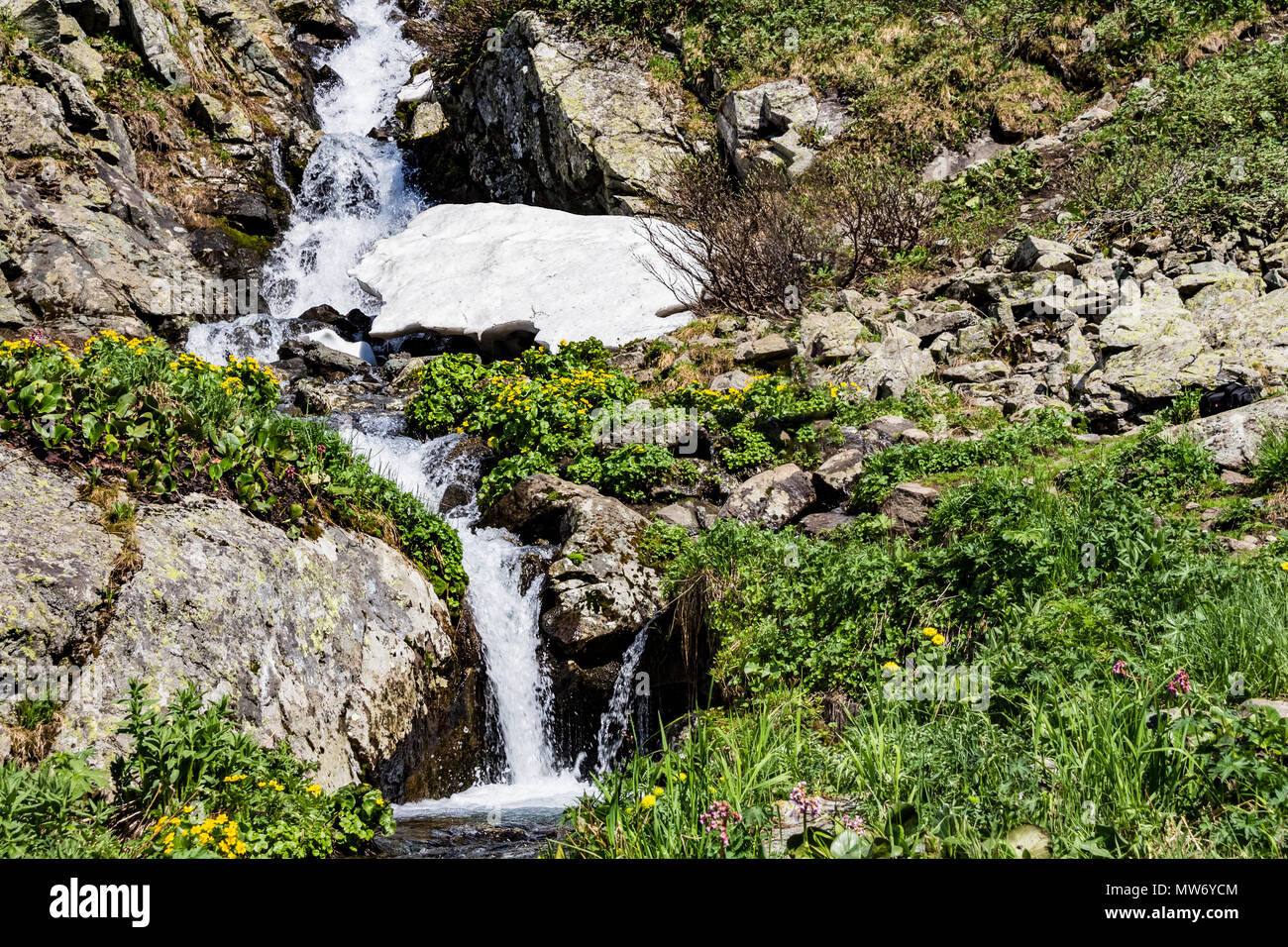 Vue d'une petite cascade dans les montagnes de l'Altaï, en Sibérie, Russie Banque D'Images