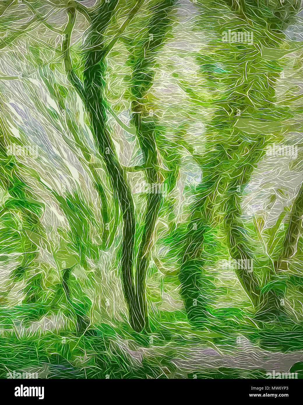 L'art numérique : l'esprit de la forêt Banque D'Images