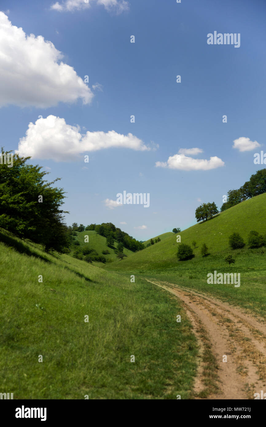 Zagajica hills en Serbie, beau paysage à un jour d'été Banque D'Images