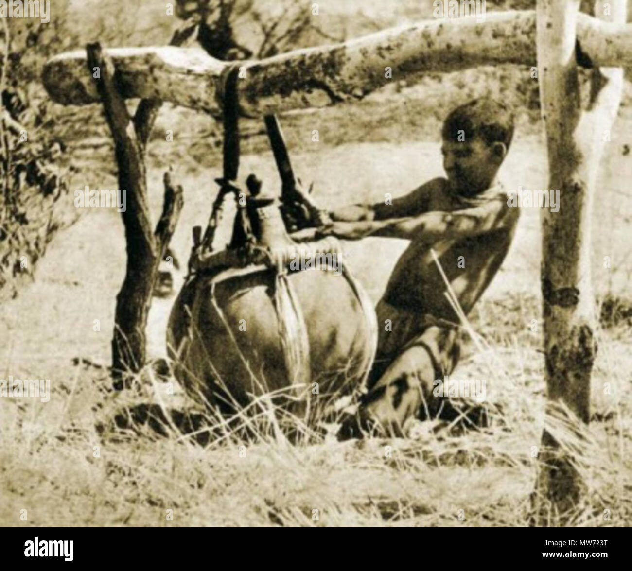 . Un garçon d'Afrique. La photo prise par Kazimierz Nowak (1897-1937) lors de son voyage en Afrique - un voyageur polonais, correspondant et photographe. Probablement le premier homme dans le monde qui ont traversé l'Afrique du Nord au Sud et du sud au nord (de 1931 à 1936 ; à pied, à vélo et en canoë). environ sur 1931-36. probablement Kazimierz Nowak ou d'un auteur inconnu 29 African boy Banque D'Images