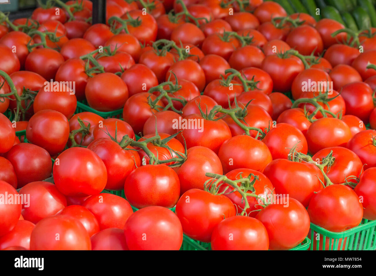 Explorer la ville et la ville dans l'ambiance Toronto Canada. Les marchés de la ville historique de bâtiments en brique, à pied les quartiers de cette ville. Banque D'Images