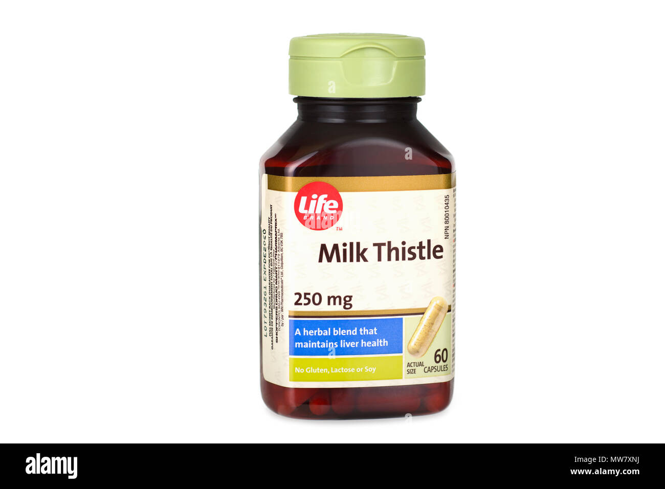 Le chardon de lait garanti, bouteille avec capsules, comprimés, Silybum, silymarine Banque D'Images