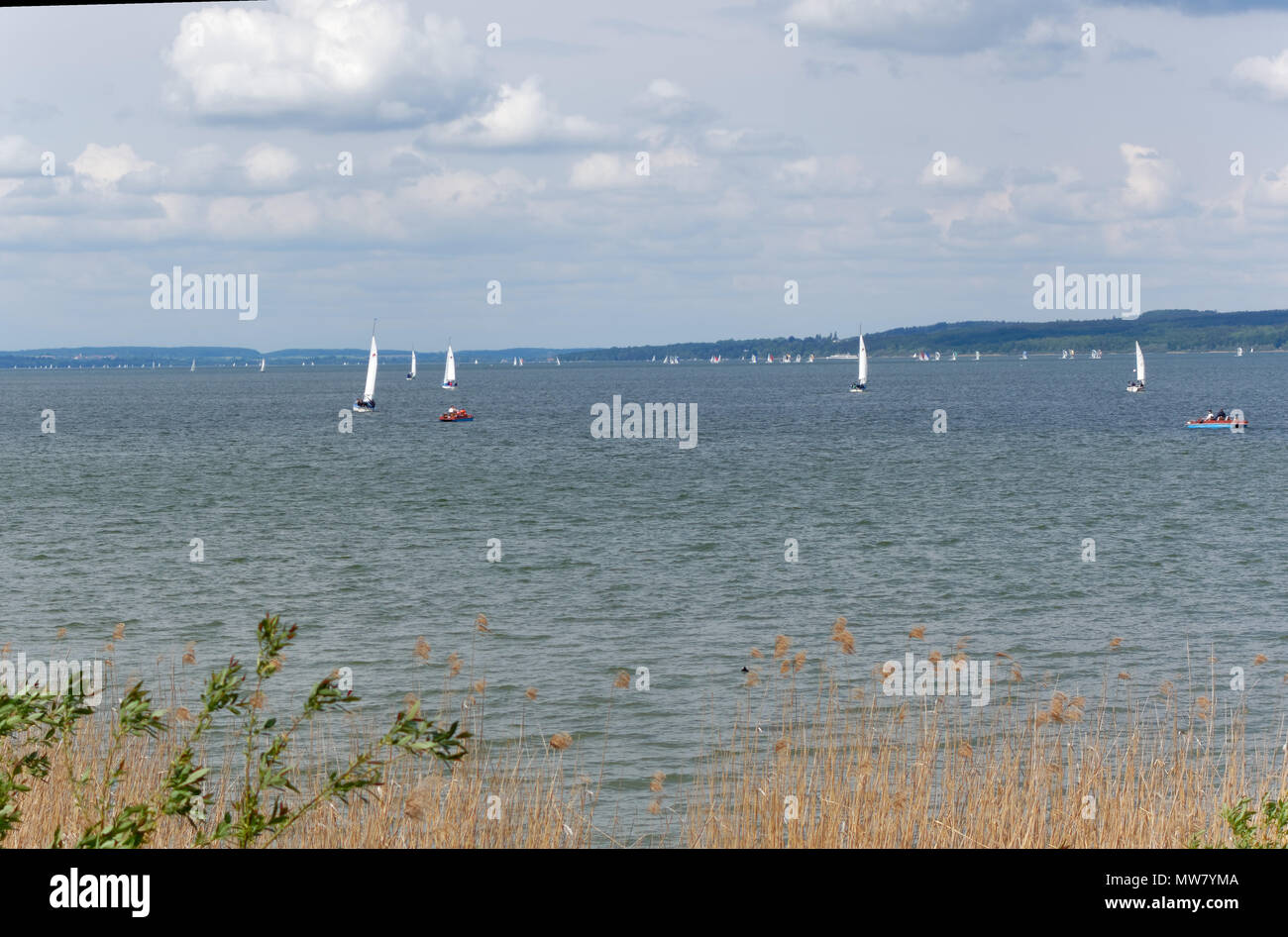 Voiliers sur la côte sud de l'Ammersee près de Diessen, Bavière, Allemagne. Banque D'Images