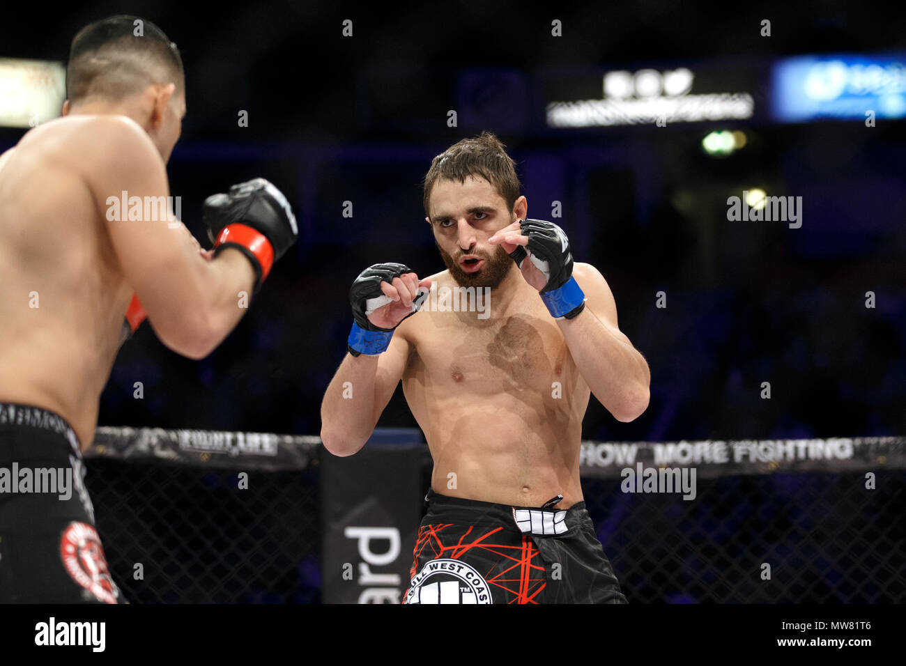 MMA fighter Amirkhan Adaev (à droite) en action contre Joshua Aveles au PBR 54 à Manchester, au Royaume-Uni. Championnat absolue Berkut, Mixed Martial Arts, MMA lutte. Banque D'Images