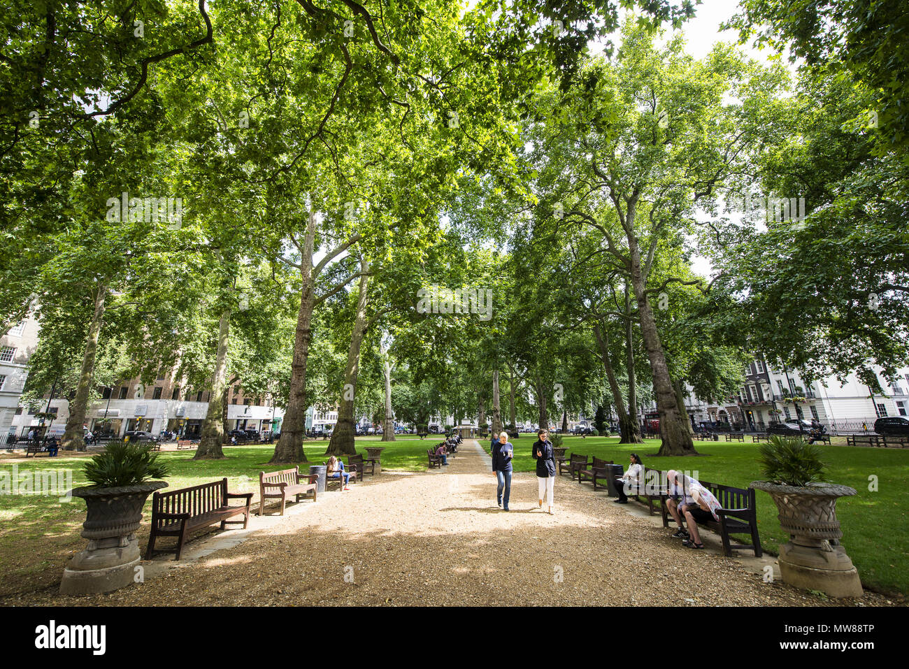 Berkeley Square Gardens, Mayfair, London, dans l'heure d'été. Banque D'Images